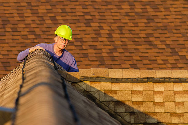 Best Roof Maintenance Services  in South Gull Lake, MI