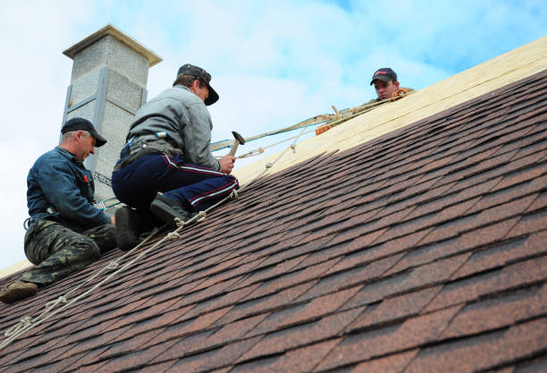 Best Shingle Roofing Installation  in South Gull Lake, MI